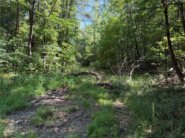 587 E Valley Road NE, Rydal, GA 30171