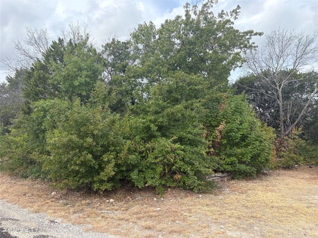 4426 W Oak Trail, Granbury, TX 76048