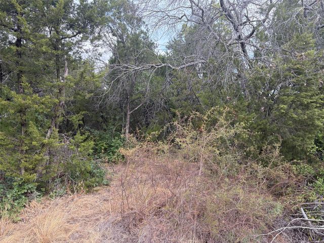 4426 W Oak Trail, Granbury, TX 76048