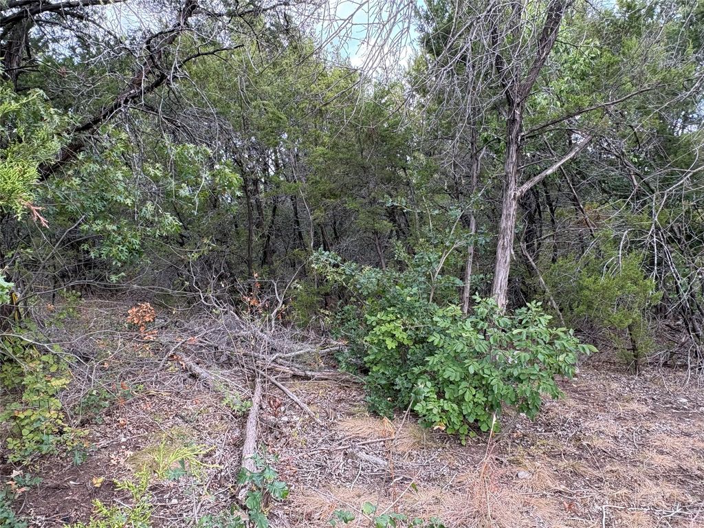4426 W Oak Trail, Granbury, TX 76048