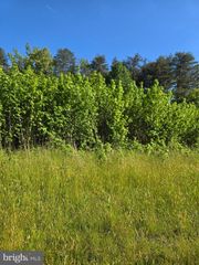 4336 MASSAPONAX CHURCH RD, Fredericksburg, VA 22408