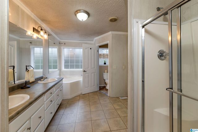 256 FISH HATCHERY ROAD, Eastaboga, AL 36260