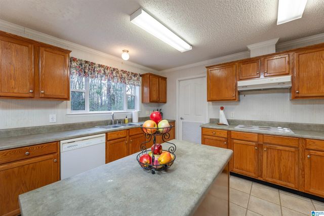 256 FISH HATCHERY ROAD, Eastaboga, AL 36260