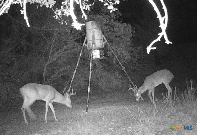 4514 County Road 328, Milano, TX 76556