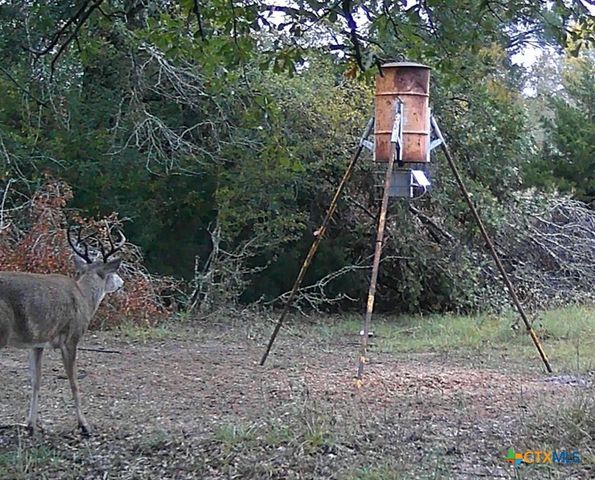 4514 County Road 328, Milano, TX 76556