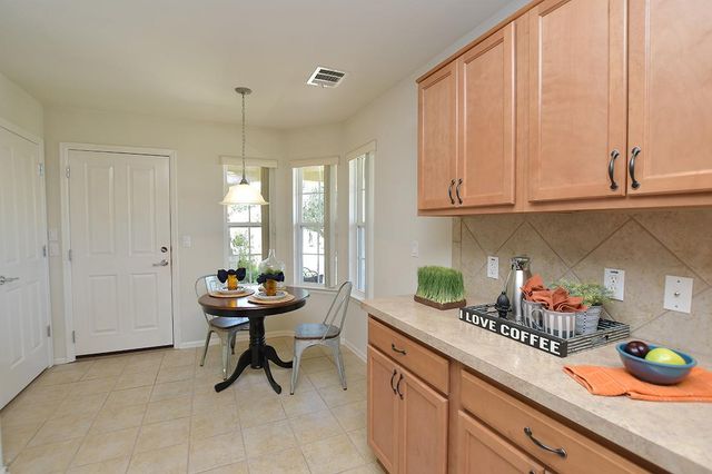 303 Salt Creek LN, Georgetown, TX 78633
