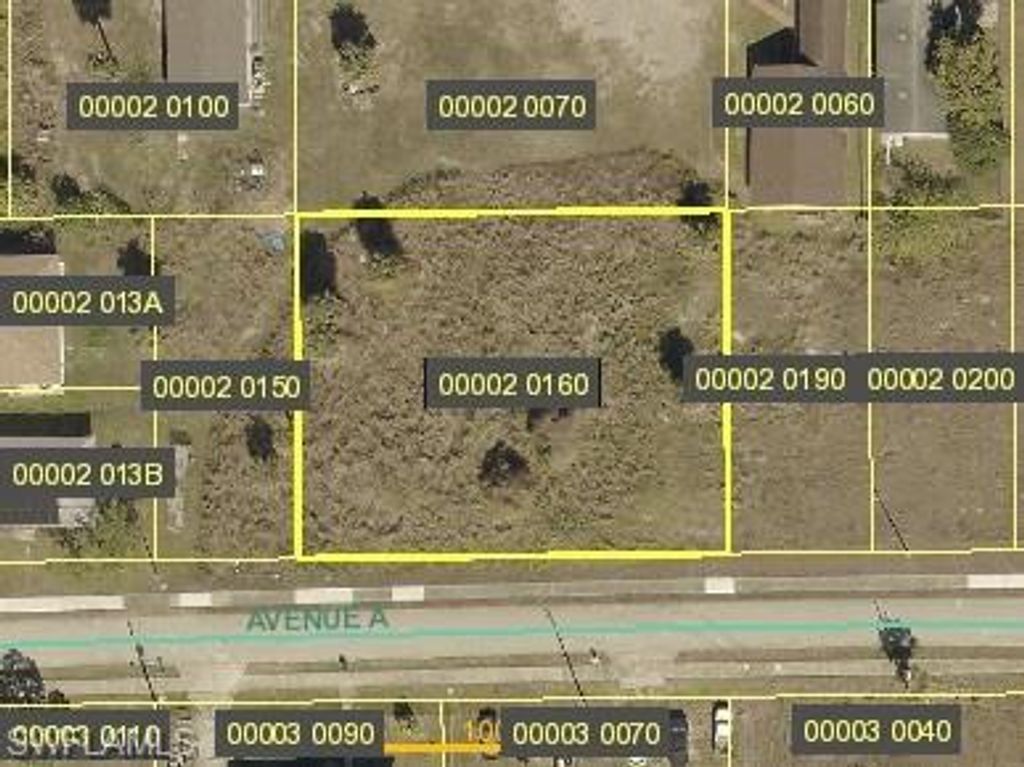 23031 Avenue A, Alva, FL 33920
