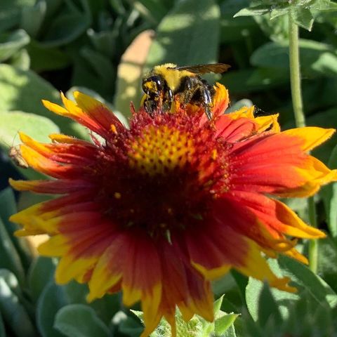 9325 E ST CHARLES RD, Columbia, MO 65202