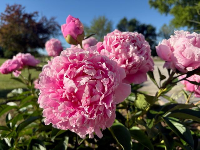 9325 E ST CHARLES RD, Columbia, MO 65202