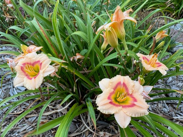 9325 E ST CHARLES RD, Columbia, MO 65202