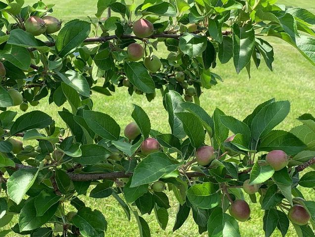 9325 E ST CHARLES RD, Columbia, MO 65202