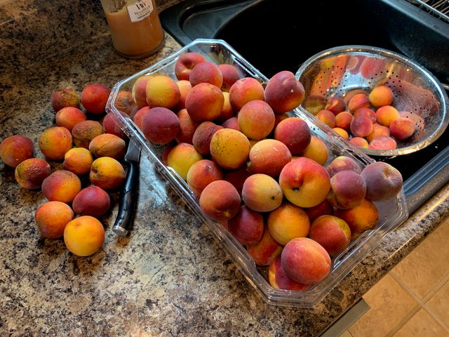 9325 E ST CHARLES RD, Columbia, MO 65202