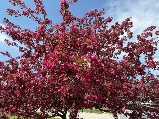 9325 E ST CHARLES RD, Columbia, MO 65202