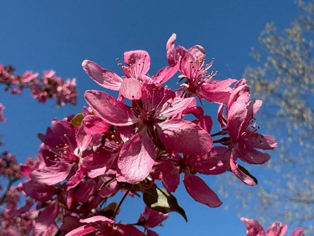 9325 E ST CHARLES RD, Columbia, MO 65202