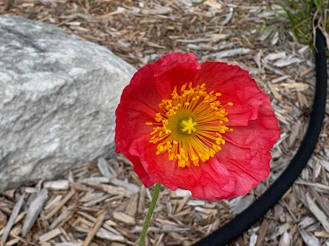 9325 E ST CHARLES RD, Columbia, MO 65202