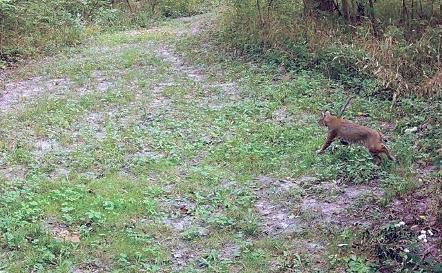 9325 E ST CHARLES RD, Columbia, MO 65202