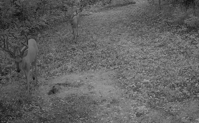 9325 E ST CHARLES RD, Columbia, MO 65202