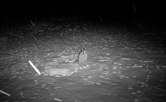 9325 E ST CHARLES RD, Columbia, MO 65202