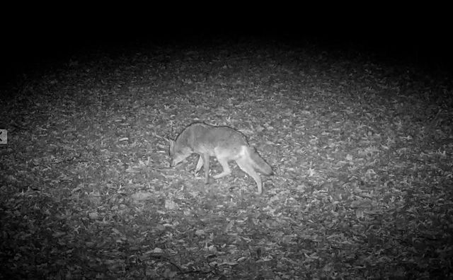 9325 E ST CHARLES RD, Columbia, MO 65202