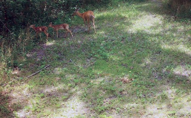 9325 E ST CHARLES RD, Columbia, MO 65202