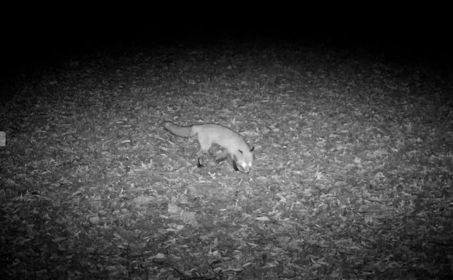 9325 E ST CHARLES RD, Columbia, MO 65202