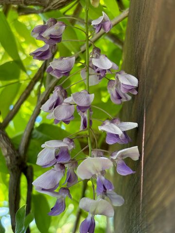 9325 E ST CHARLES RD, Columbia, MO 65202