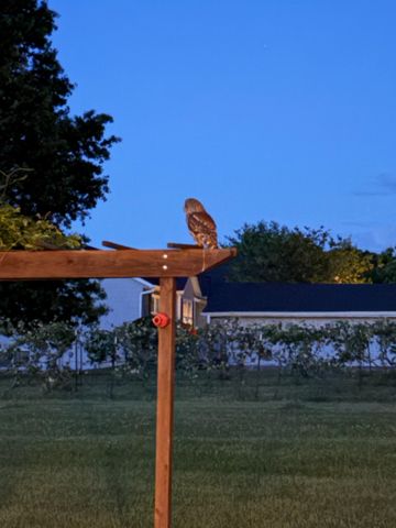 9325 E ST CHARLES RD, Columbia, MO 65202