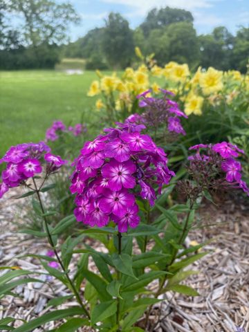 9325 E ST CHARLES RD, Columbia, MO 65202