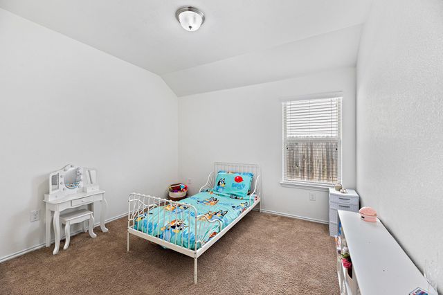 382 Limerick RD, Buda, TX 78610