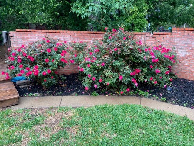 1415 Bluebonnet Drive, Fort Worth, TX 76111