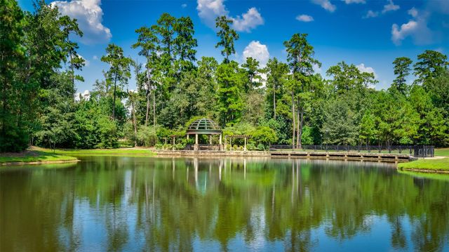 75 Mediterra Way, The Woodlands, TX 77389