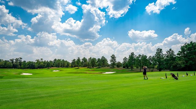 75 Mediterra Way, The Woodlands, TX 77389
