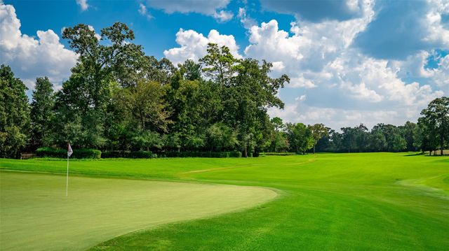 75 Mediterra Way, The Woodlands, TX 77389