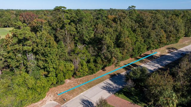 75 Mediterra Way, The Woodlands, TX 77389