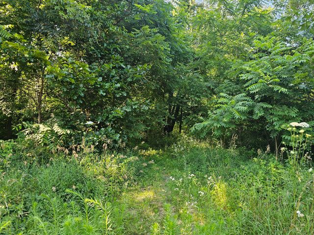 12671 Fort Custer Drive, Galesburg, MI 49053