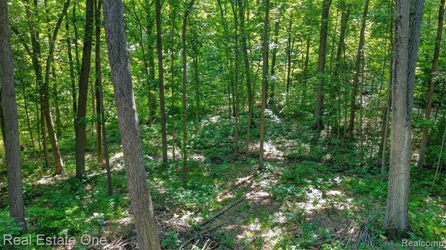 310 S Van Road, Holly, MI 48442