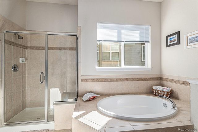 853 Dales Pony Drive, Castle Rock, CO 80104