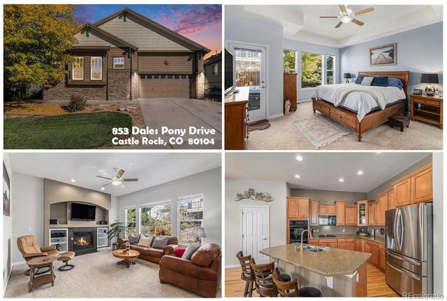 853 Dales Pony Drive, Castle Rock, CO 80104