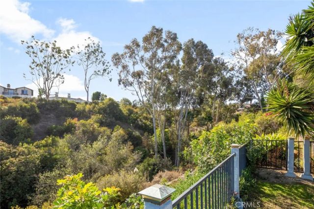 25322 Perch Drive, Dana Point, CA 92629