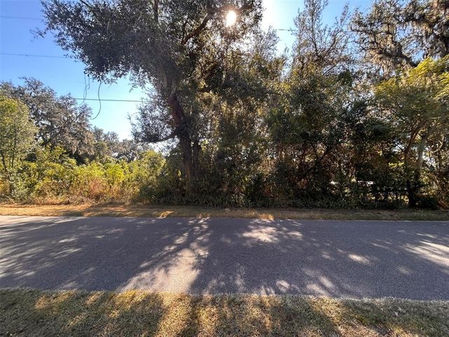 11119 BESSIE DIX ROAD, Seffner, FL 33584