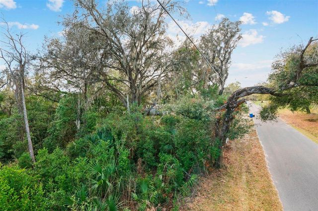 11119 BESSIE DIX ROAD, Seffner, FL 33584