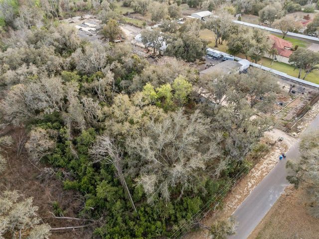 11119 BESSIE DIX ROAD, Seffner, FL 33584