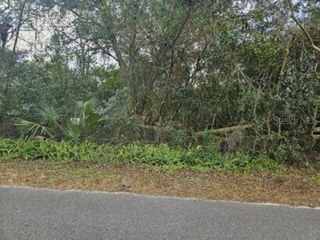 11119 BESSIE DIX ROAD, Seffner, FL 33584