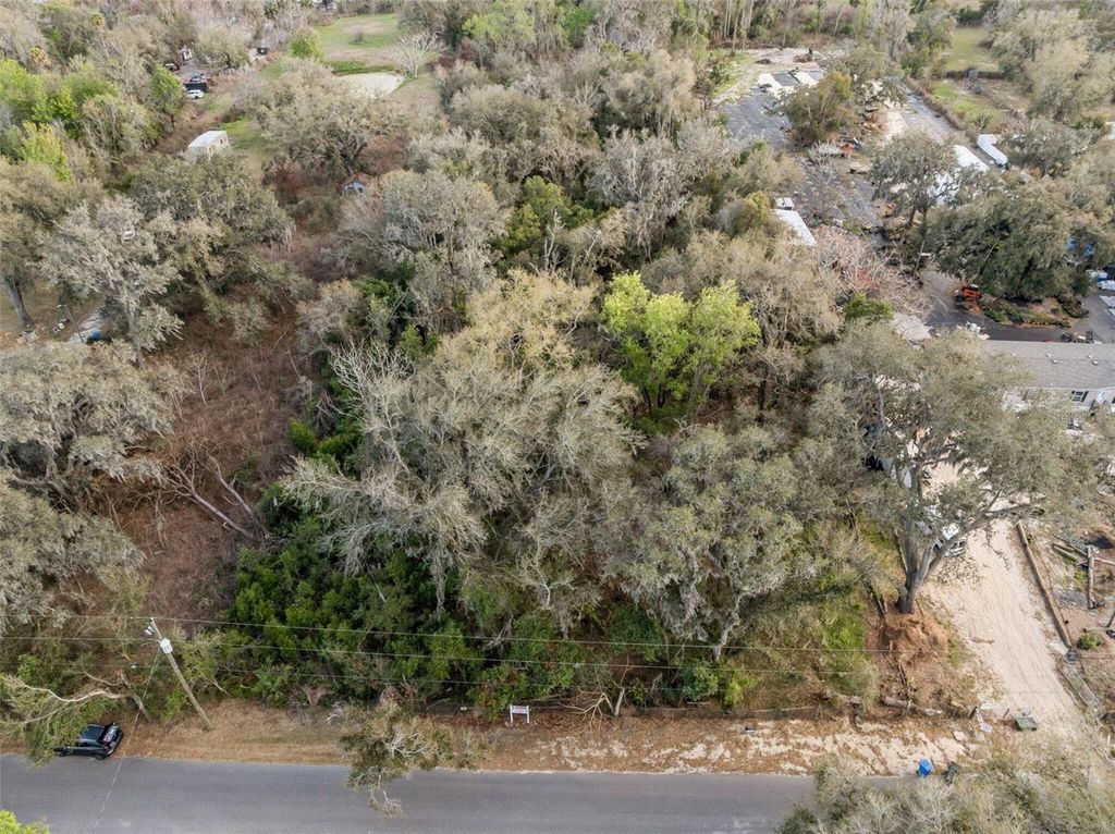 11119 BESSIE DIX ROAD, Seffner, FL 33584