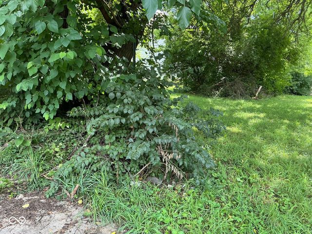 1030 W 29th Street, Indianapolis, IN 46208