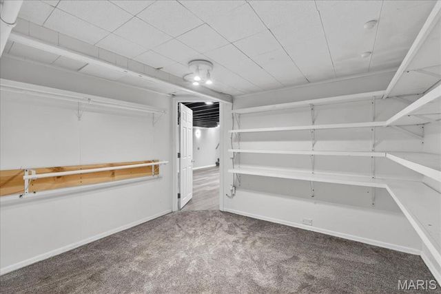 9 Darwin Court, Florissant, MO 63033