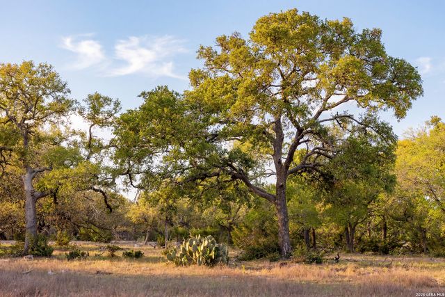 TBD Sattler Rd, Spring Branch, TX 78070