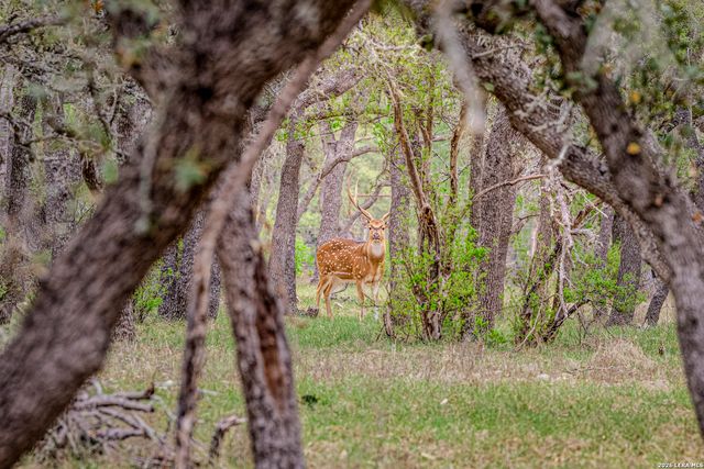 TBD Sattler Rd, Spring Branch, TX 78070