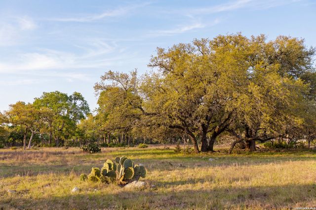 TBD Sattler Rd, Spring Branch, TX 78070