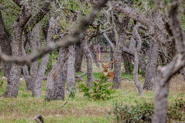 TBD Sattler Rd, Spring Branch, TX 78070